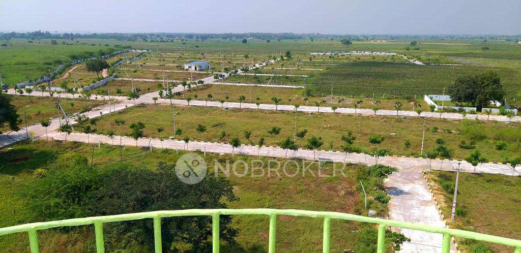 Plot For Sale  In Green Nes...