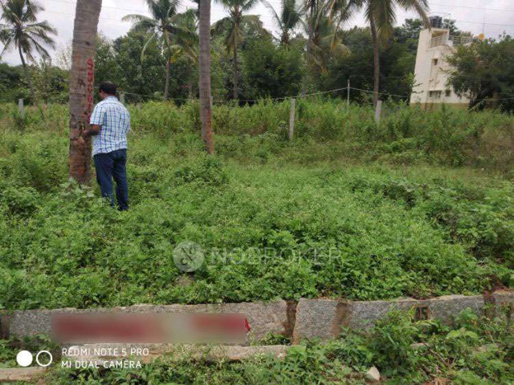 Plot For Sale  In Ashok Nagar