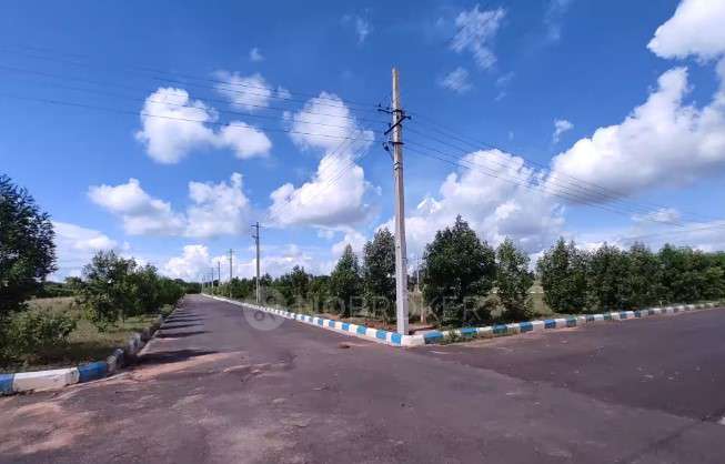 Plot For Sale  In Vihari Pr...