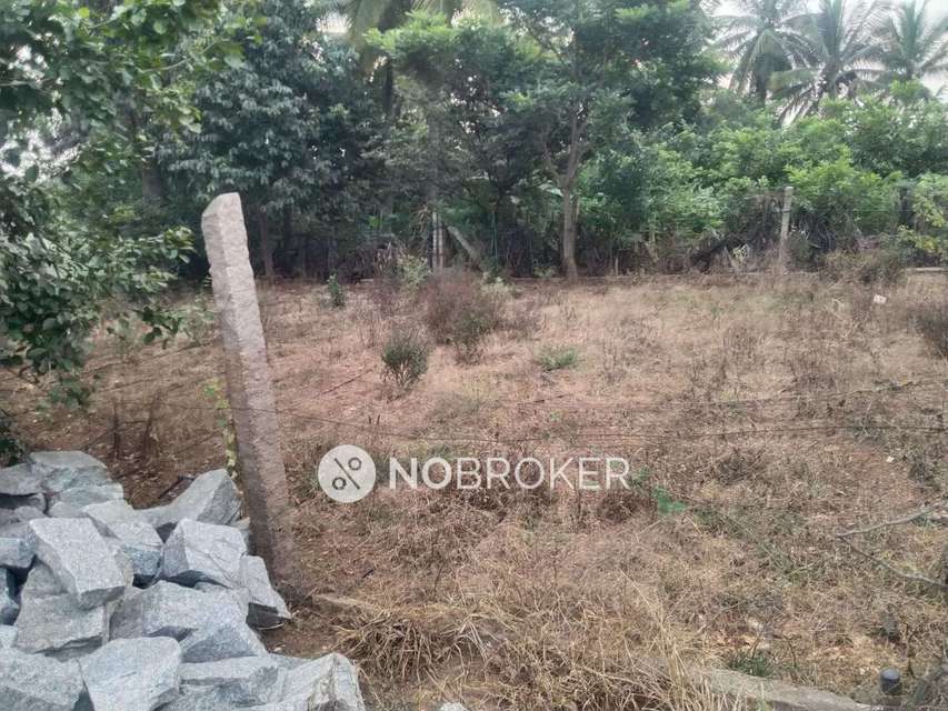 Plot For Sale  In Hoskote