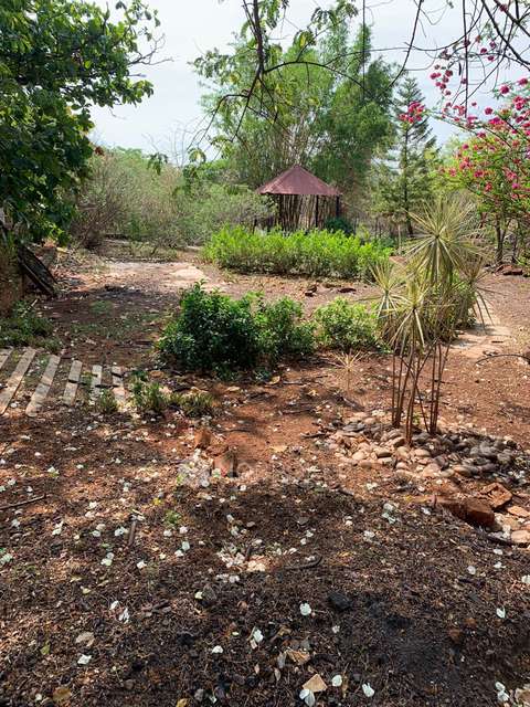 Plot For Sale  In Bhugaon H...