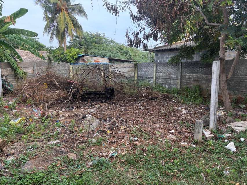 Plot For Sale  In Praveen P...