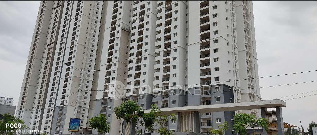 3 BHK Flat In Prestige Tran...