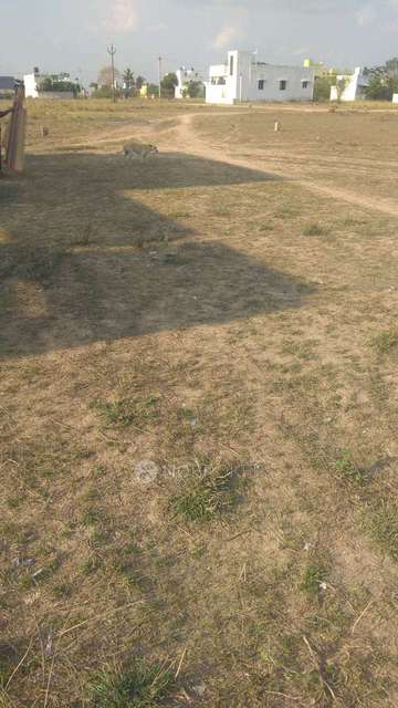 Plot For Sale  In Arakonam ...