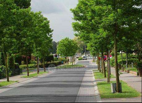 Plot For Sale  In Codename ...