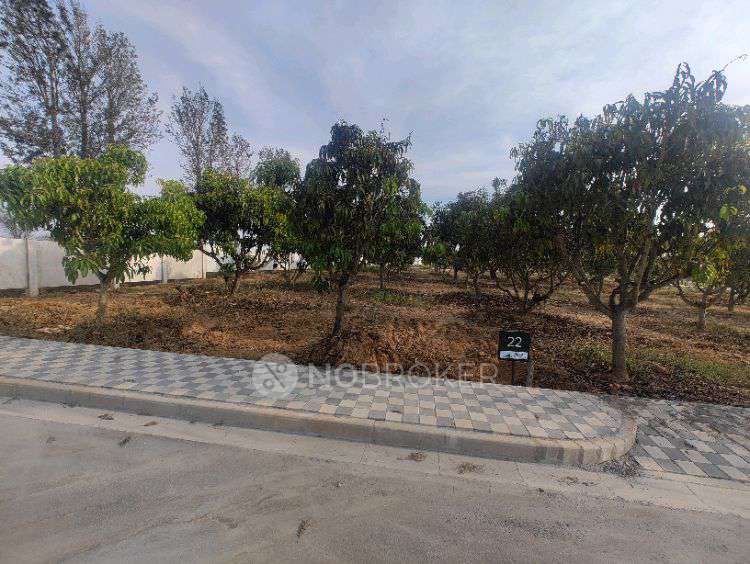 Plot For Sale  In Purvankar...