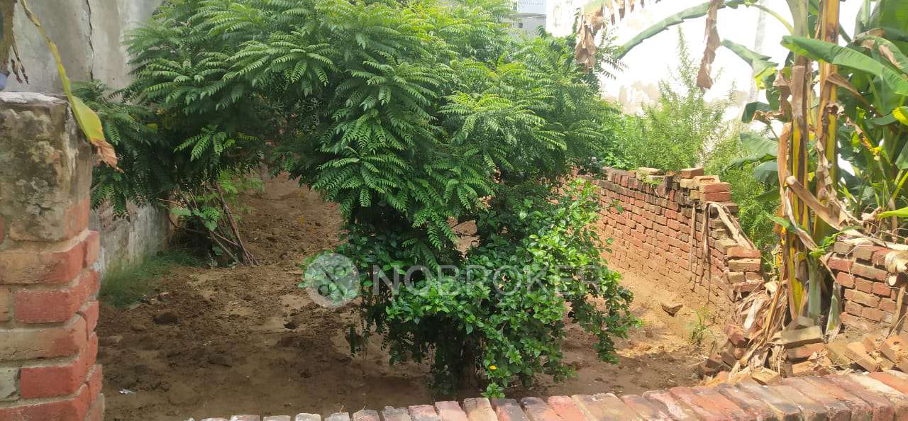 Plot For Sale  In Najafgarh