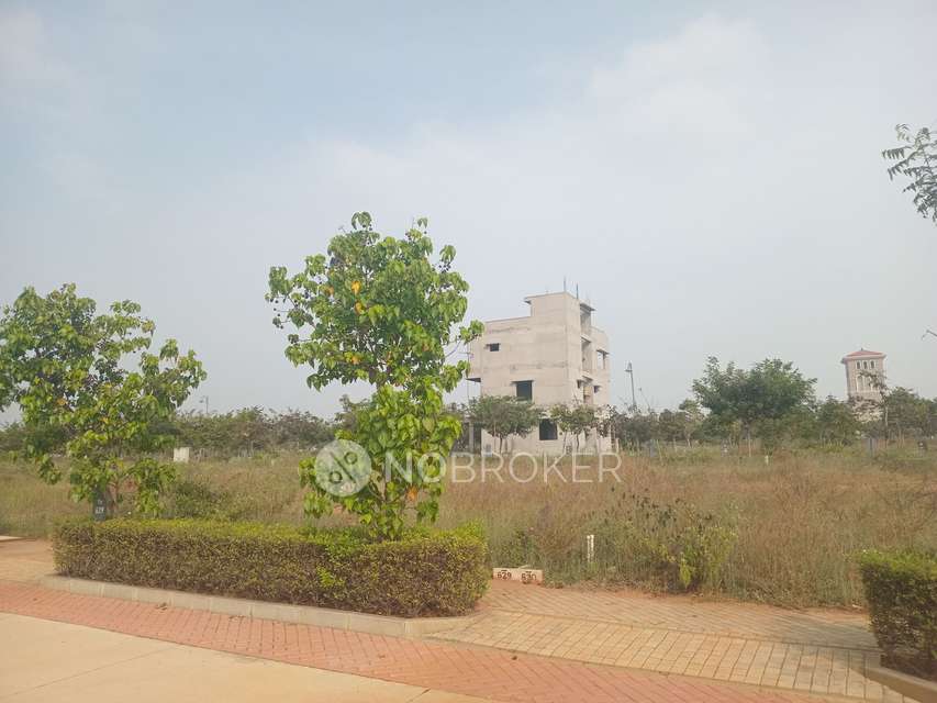 Plot For Sale  In Tivolli H...