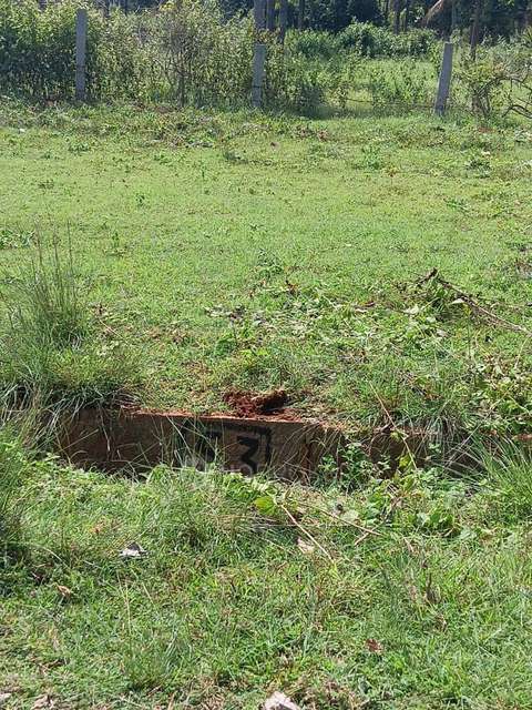 Plot For Sale  In Nelamanga...