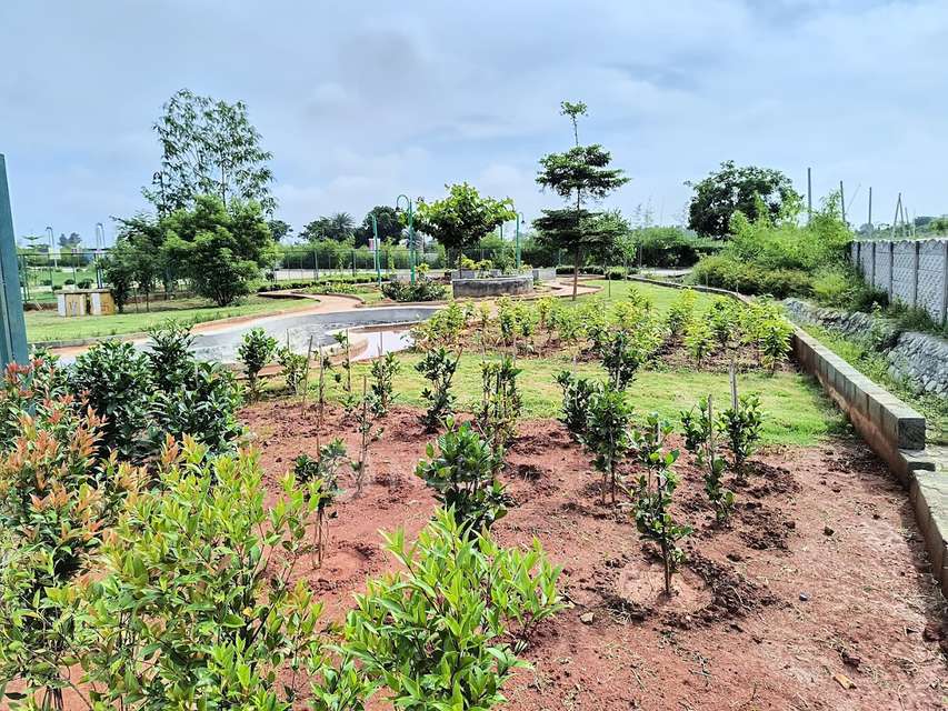 Plot For Sale  In Forest In...