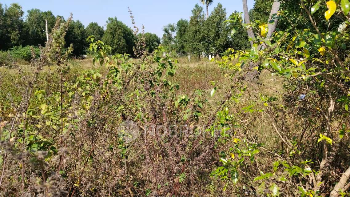 Plot For Sale  In Sri Keert...