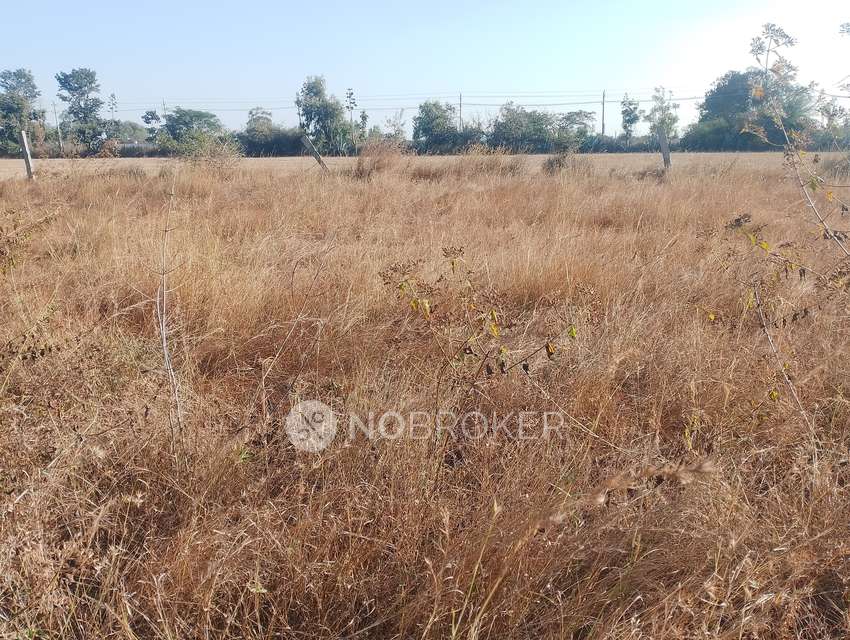 Plot For Sale  In Devanahalli