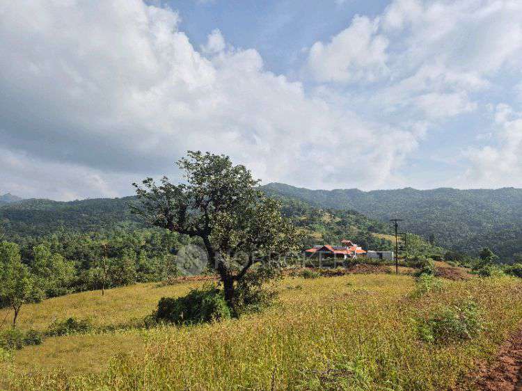 Plot For Sale  In Velhe