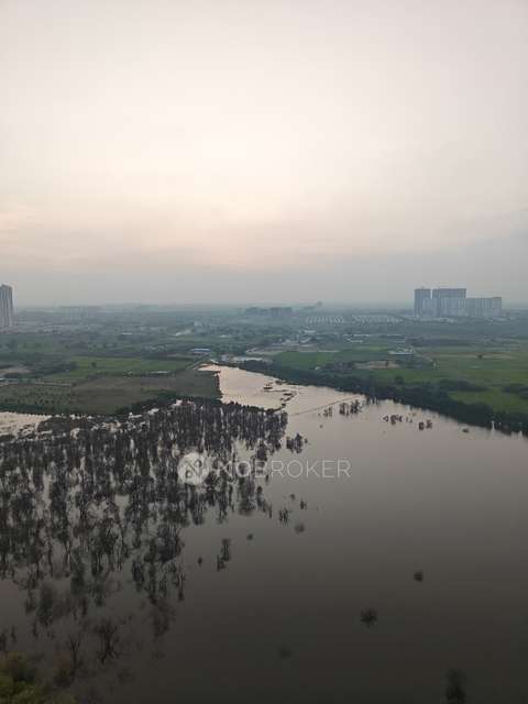 2 BHK Flat In Aliens Space ...