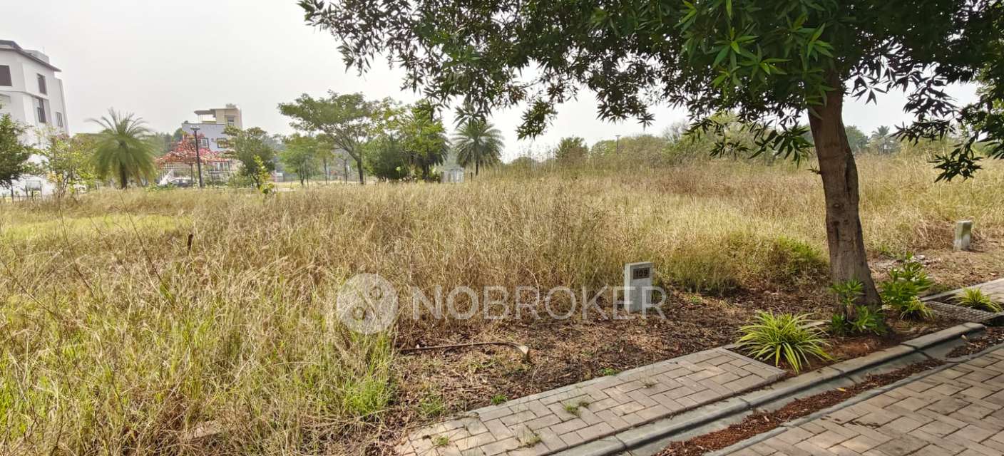 Plot For Sale  In West Tham...