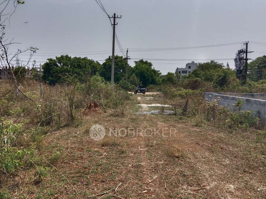 Plot For Sale  In Kanva Gar...