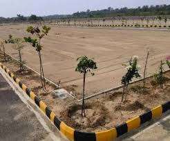 Plot For Sale  In Orjita Hi...