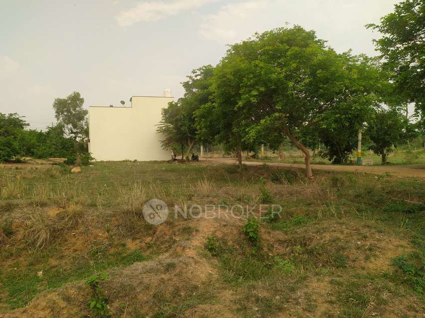 Plot For Sale  In Ekandanth...