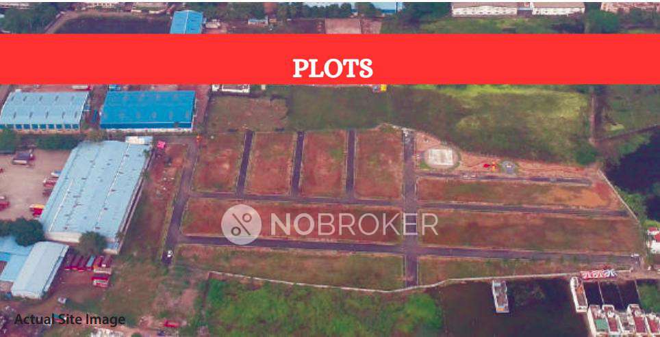 Elephantine Noombal Gardenia