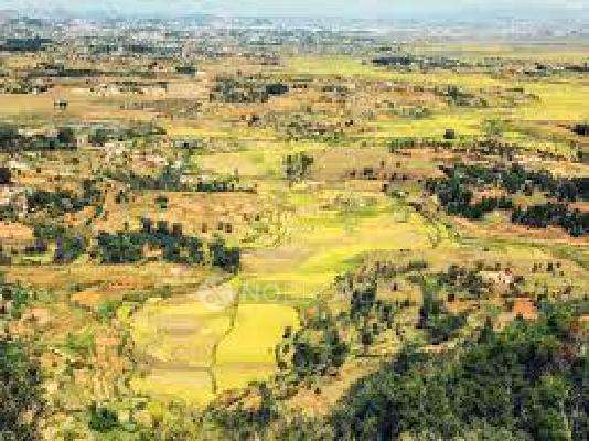 Achalare Ecoville Iris