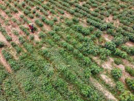 Achalare Ecoville Iris