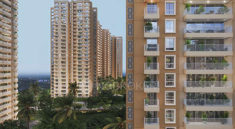 Prestige Southern Star