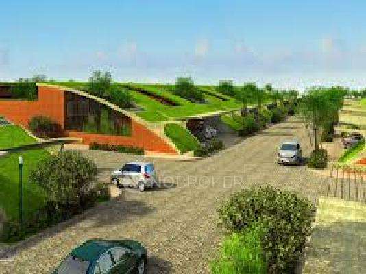 Total Environment The Meadow Dance