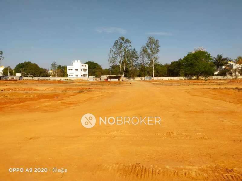 Paramount Green Avenues