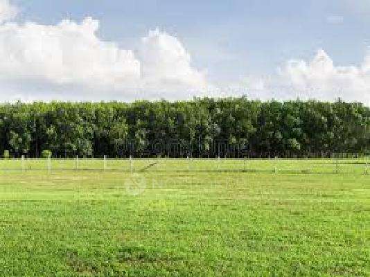 MR Rainbow Misty Greens