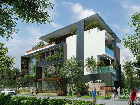 Daiwik Salvina Sapphire 