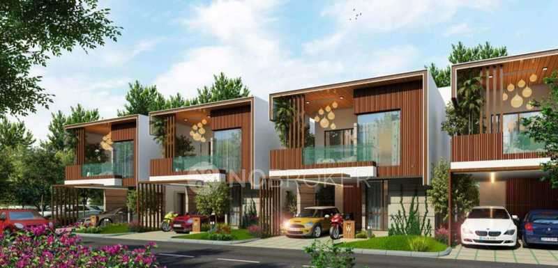 Daiwik Salvina Sapphire 