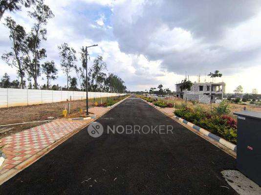 Mangala Aditya Orchard