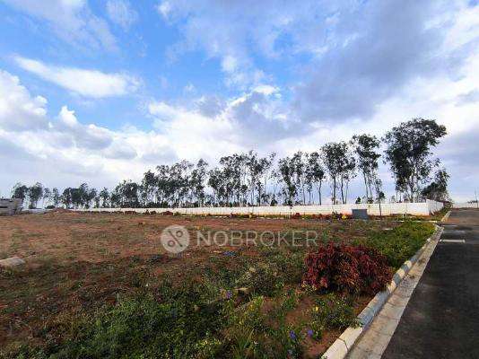 Mangala Aditya Orchard