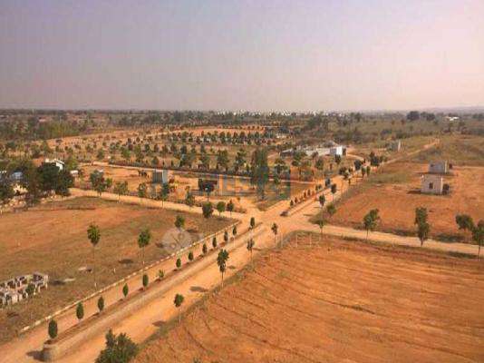 Fortune Professionals Paradise