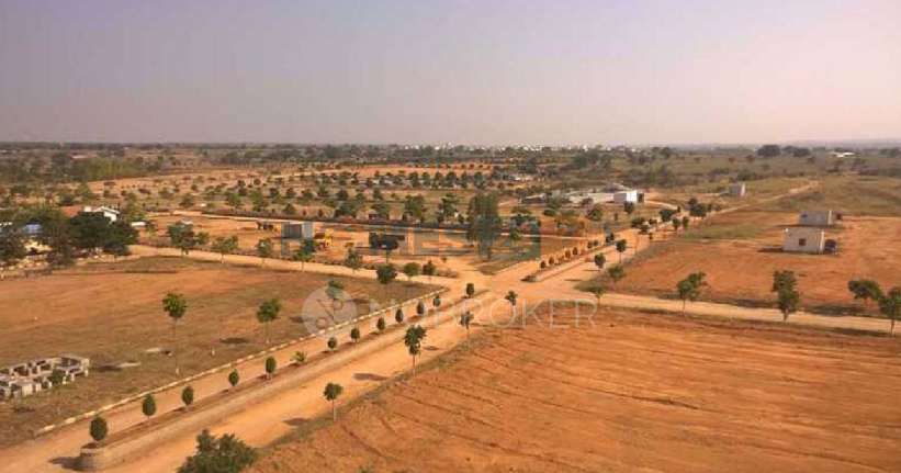 Fortune Professionals Paradise