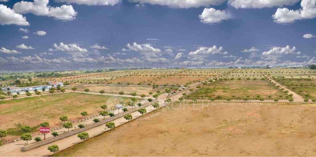 Fortune Professionals Paradise