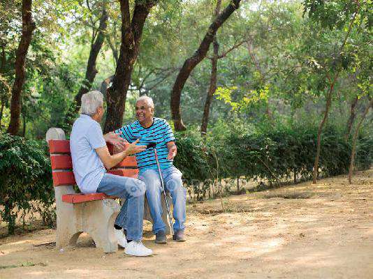 Shree Codename Rajdhani