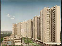 Renaissance Shanks Sunnyside