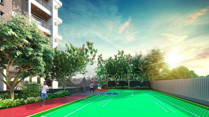 Akanksha The Camelia