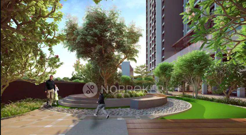 Akanksha The Camelia