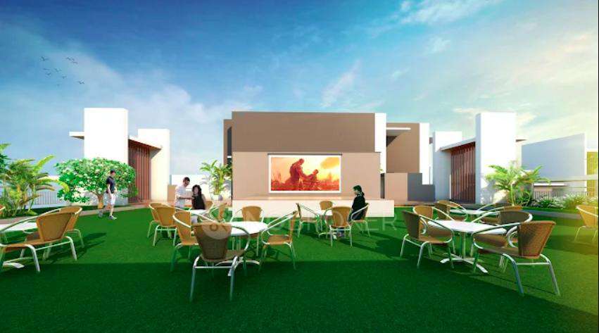 Akanksha The Camelia