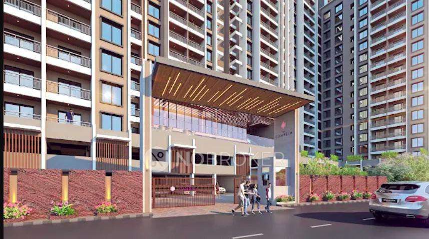 Akanksha The Camelia