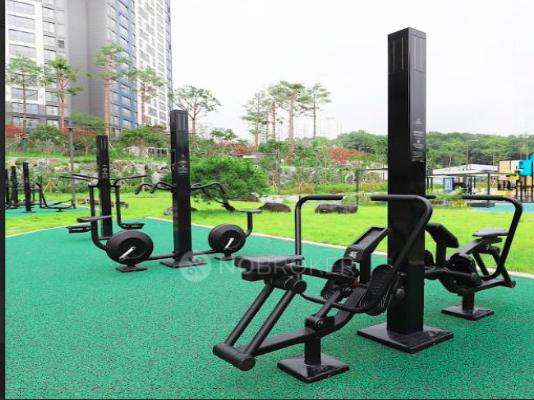 Prestige Autumn Leaves