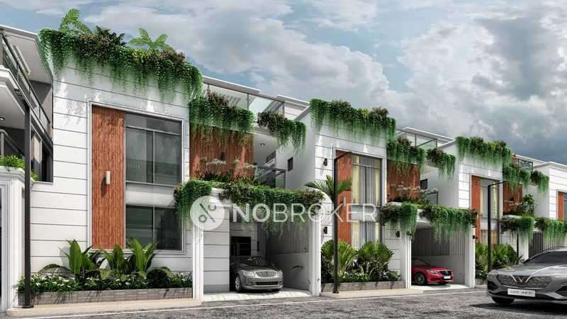 MSR Ista Dusk And Dawn