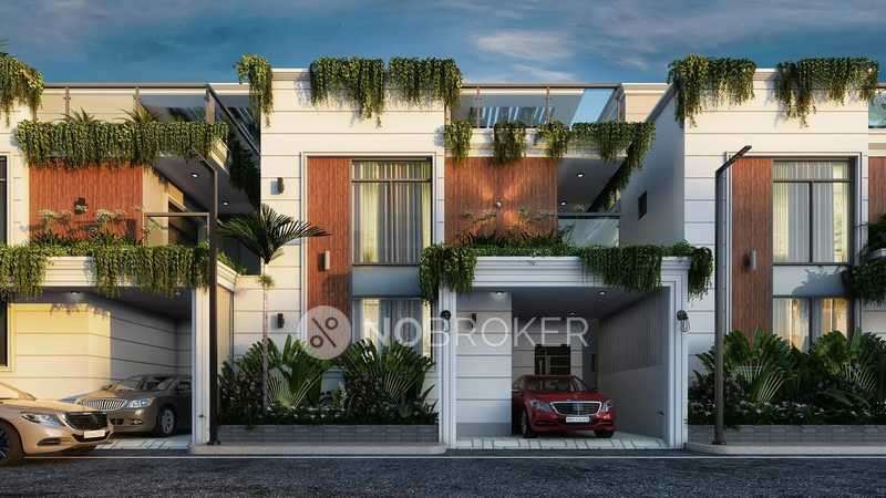 MSR Ista Dusk And Dawn