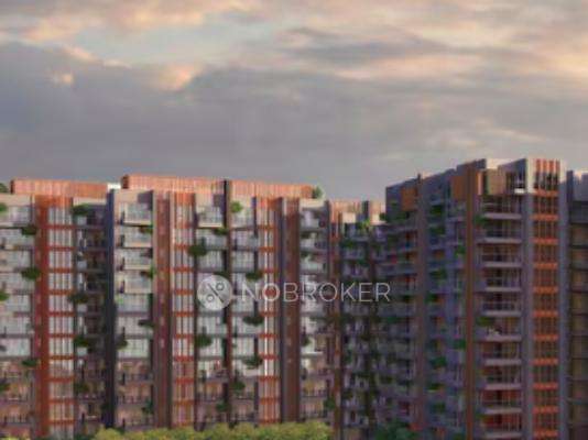 Nitesh Kumar Singh Mauli Sparsh