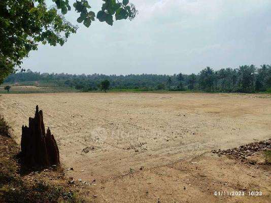 Rajeshwari Aashirvad Aprameya