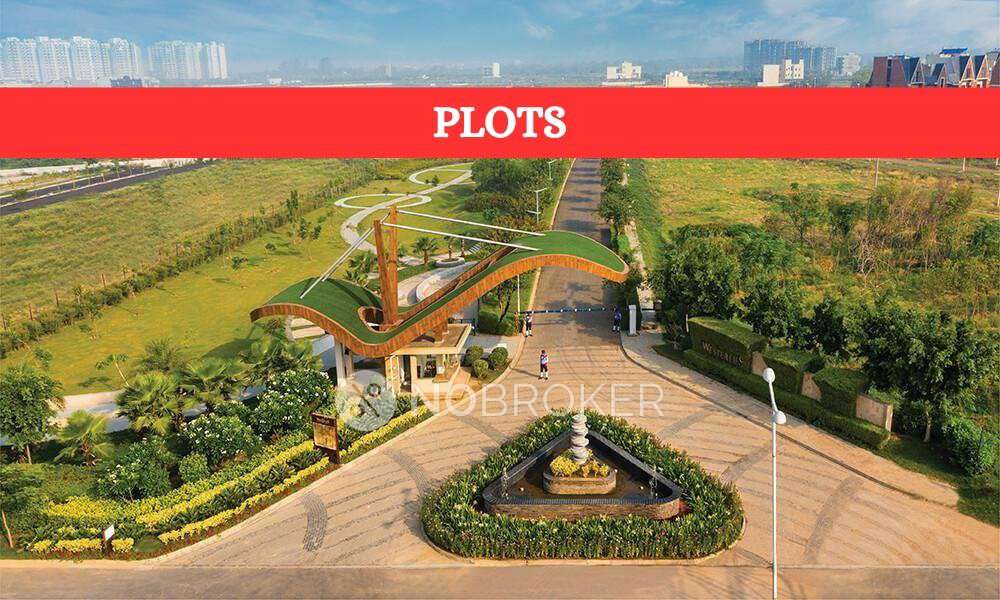 Experion The Westerlies