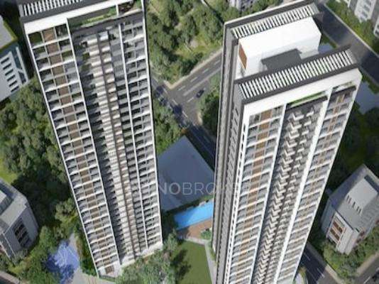 Simba Viceroy Savana