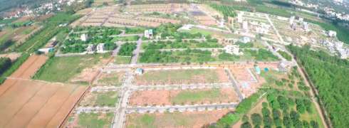 Varada Sizzle Evergreen